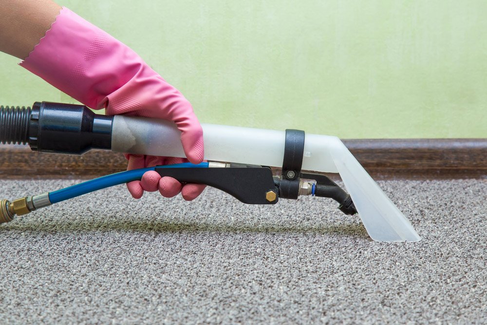 Carpet Cleaning in Progress